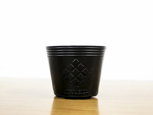 Lưới Chậu Lợi Dân