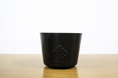 Lưới Chậu Lợi Dân