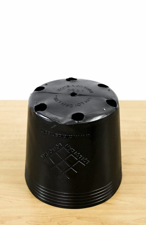 Lưới Chậu Lợi Dân