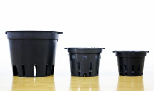 Lưới Chậu Lợi Dân