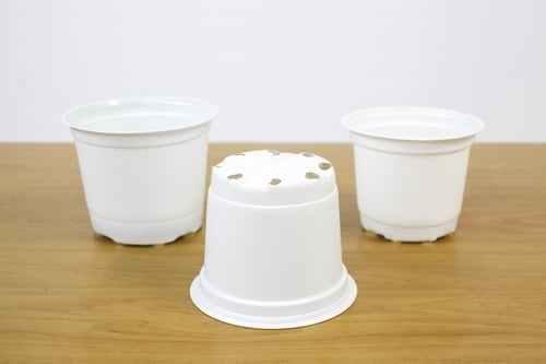 Lưới Chậu Lợi Dân