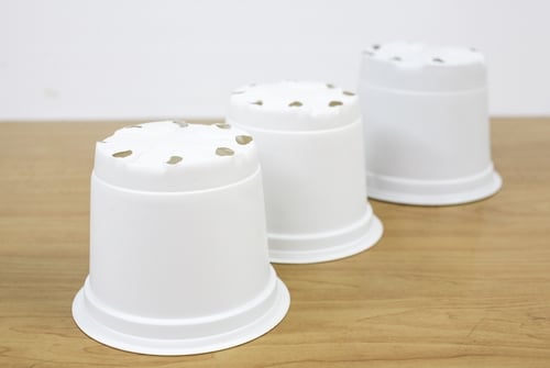 Lưới Chậu Lợi Dân