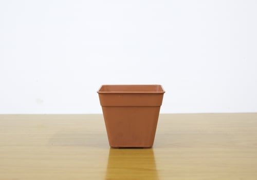 Lưới Chậu Lợi Dân