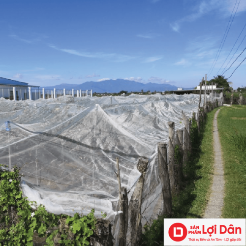 khung ảnh chung cho website 01 min 1