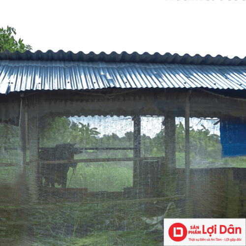 luoi chan con trong chuong bo