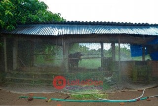 Lưới chắn côn trùng cho chuồng trại