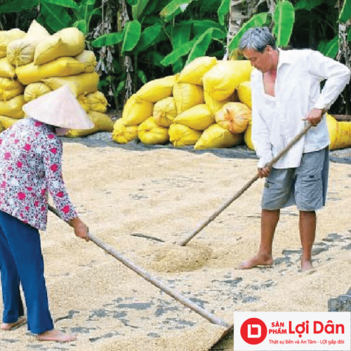 luoi phoi lua va nong san
