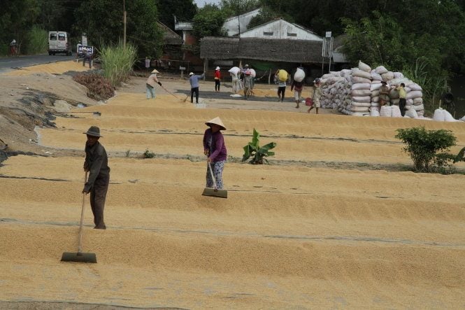 Lưới Chậu Lợi Dân