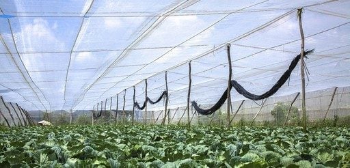 Lưới Chậu Lợi Dân