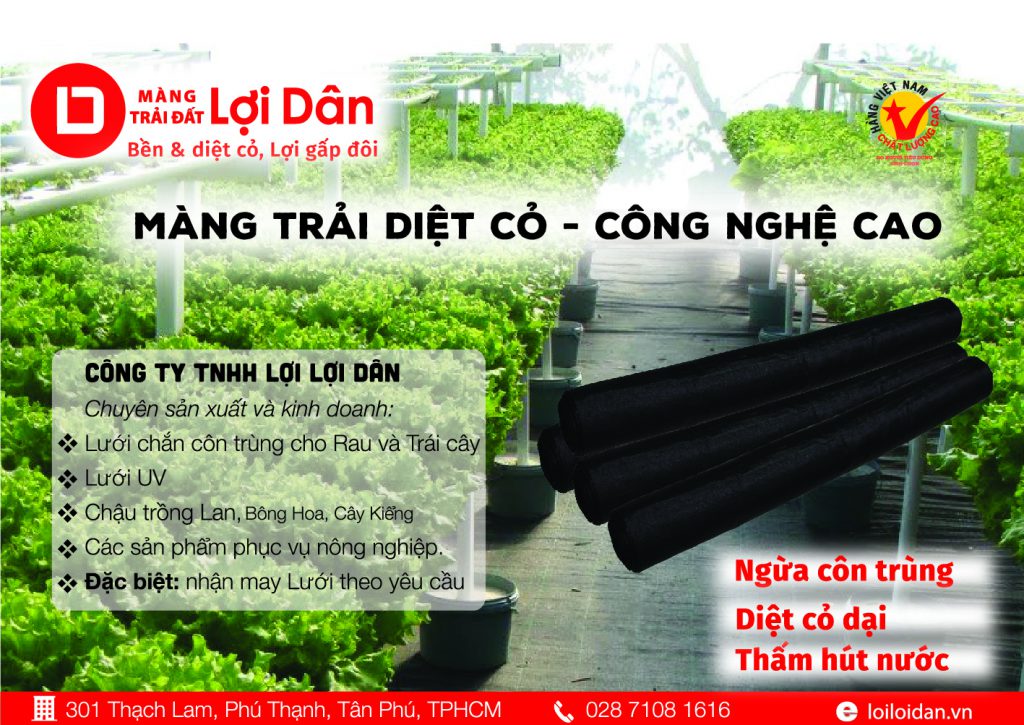 Lưới Chậu Lợi Dân