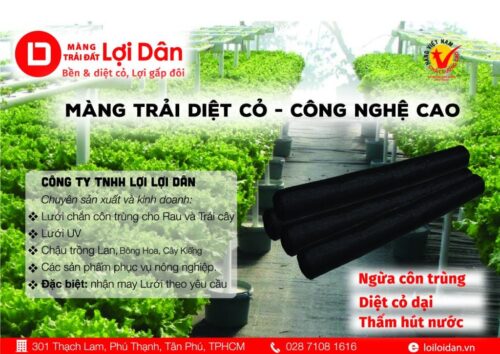 tem bat phu diet co