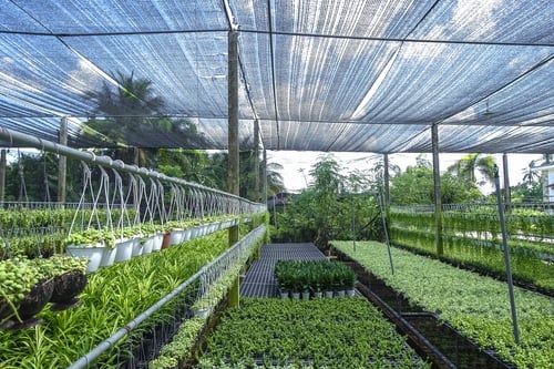 Lưới Chậu Lợi Dân