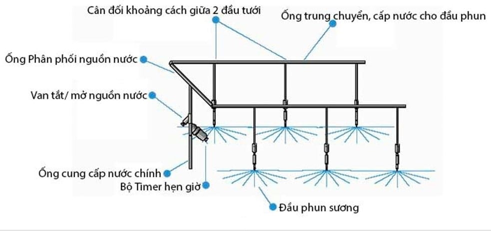 Hệ thống phun sương tưới cây