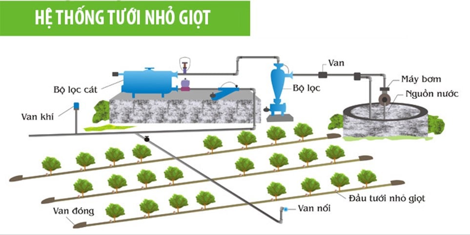 Hệ thống tưới nước nhỏ giọt nhà lưới