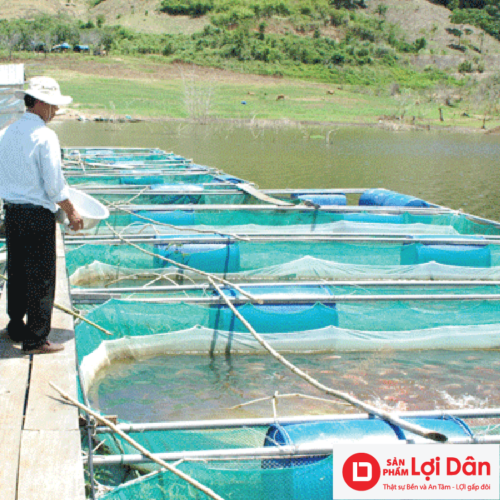 luoi nuoi thuy san