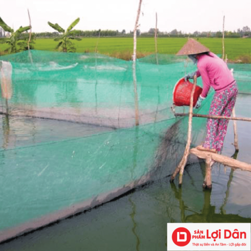 luoi thuy san nuoi ca