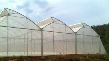 mái vòm lệch e1551168624112