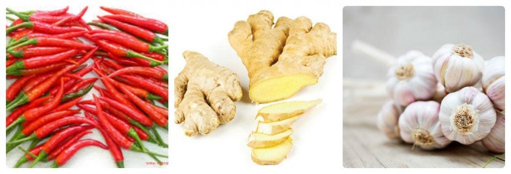 Lưới Chậu Lợi Dân