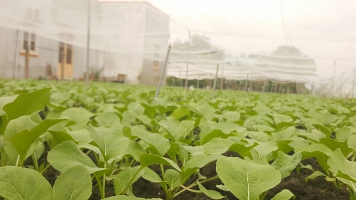 20171110 133807 Copy