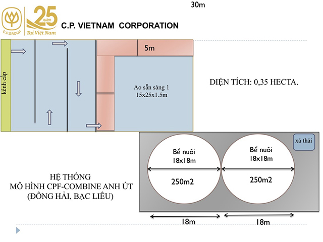 Sơ đồ mô hình nuôi tôm CNC theo mô hình CPF Combine II