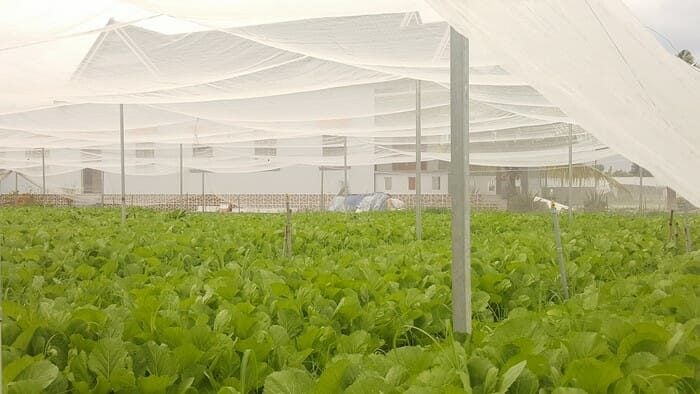 20171110 133631 Copy