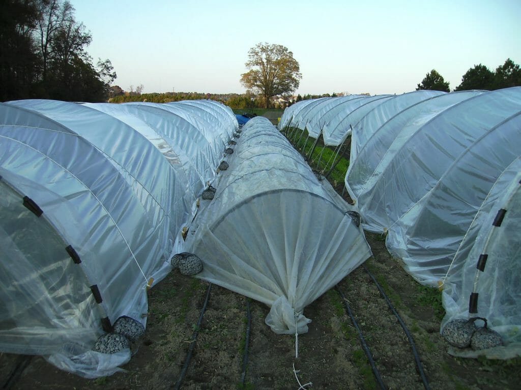 Lưới Chậu Lợi Dân