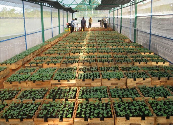 Lưới Chậu Lợi Dân