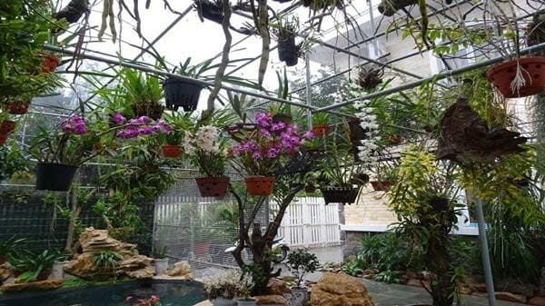 Lưới Chậu Lợi Dân