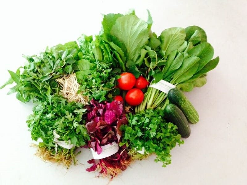 Lưới Chậu Lợi Dân