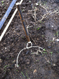 Lưới Chậu Lợi Dân