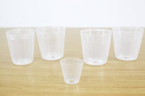 chậu nhựa trồng lan hồ điệp