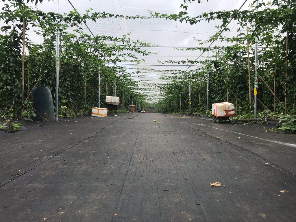 Lưới Chậu Lợi Dân