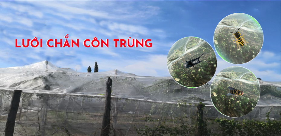 Lưới Chậu Lợi Dân