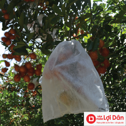 tui bao chong cong trung cho chom chom