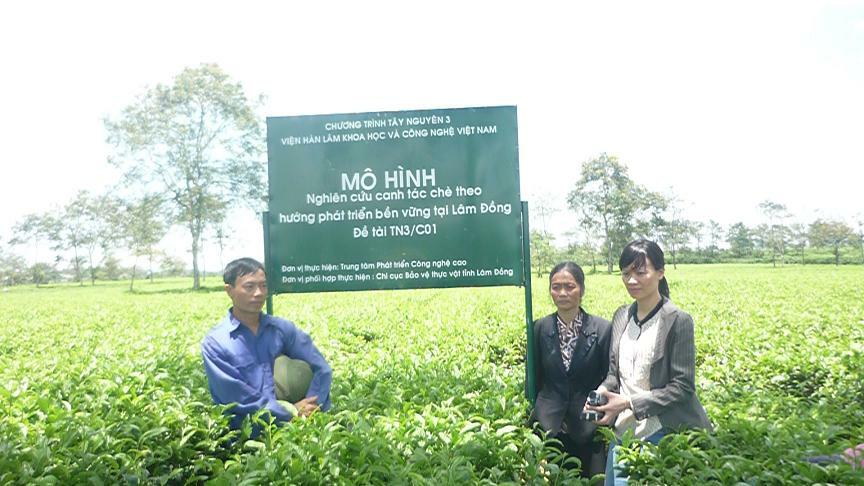 Nông nghiệp hướng sinh thái bền vững tại Lâm Đồng - Lợi Dân