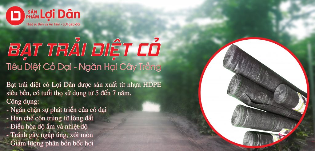 Lưới Chậu Lợi Dân