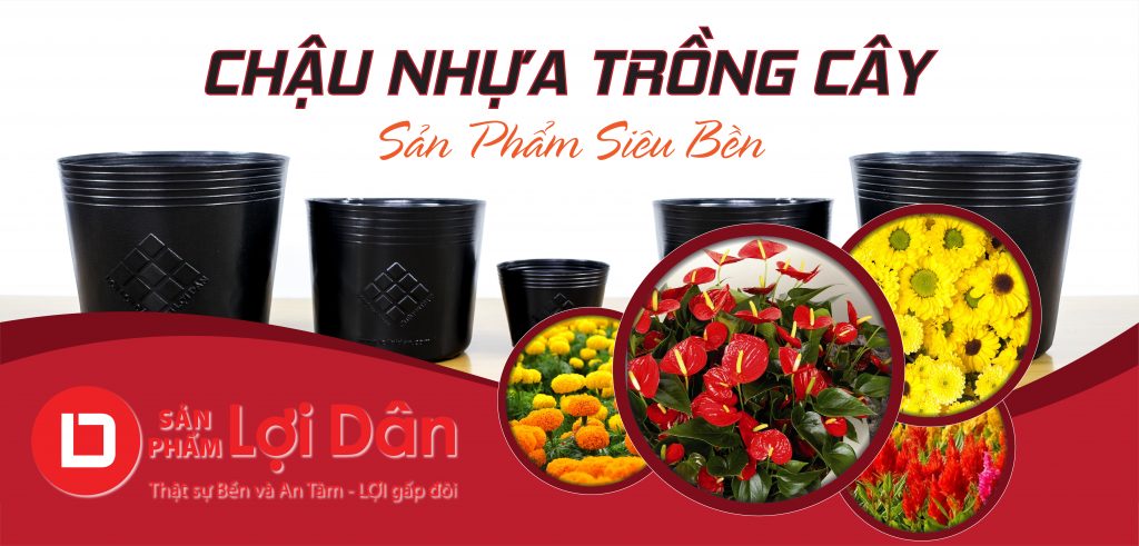 Lưới Chậu Lợi Dân