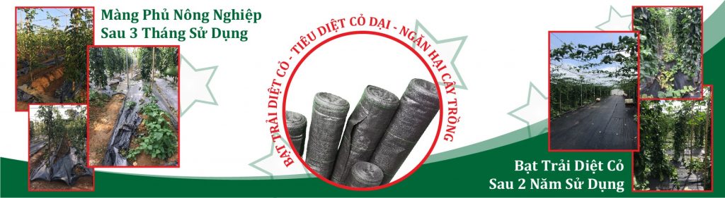 Lưới Chậu Lợi Dân