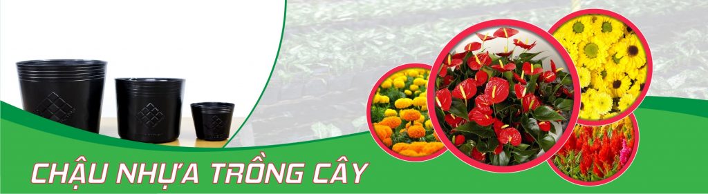 Lưới Chậu Lợi Dân