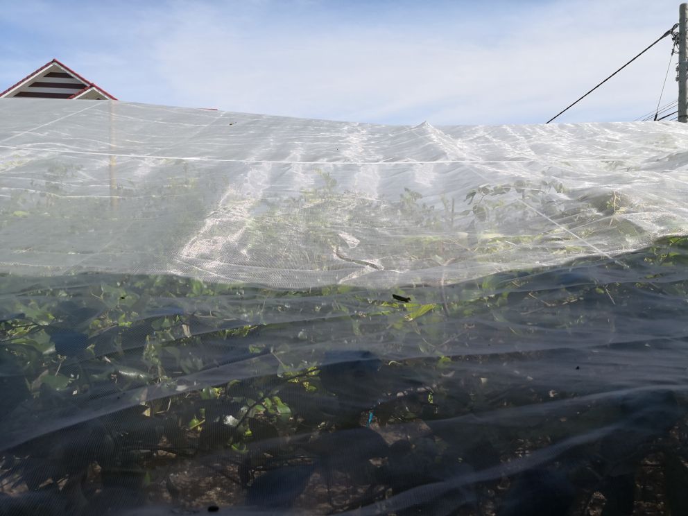 Lưới Chậu Lợi Dân