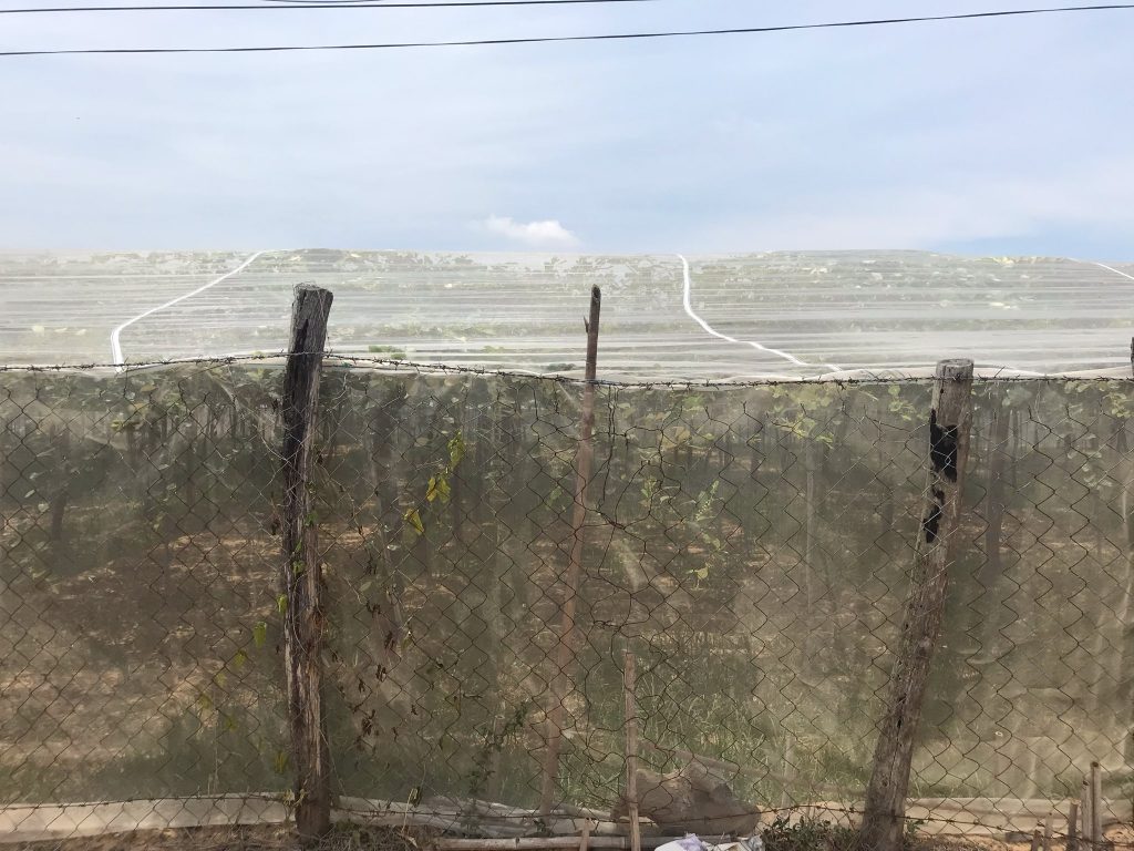 Lưới Chậu Lợi Dân