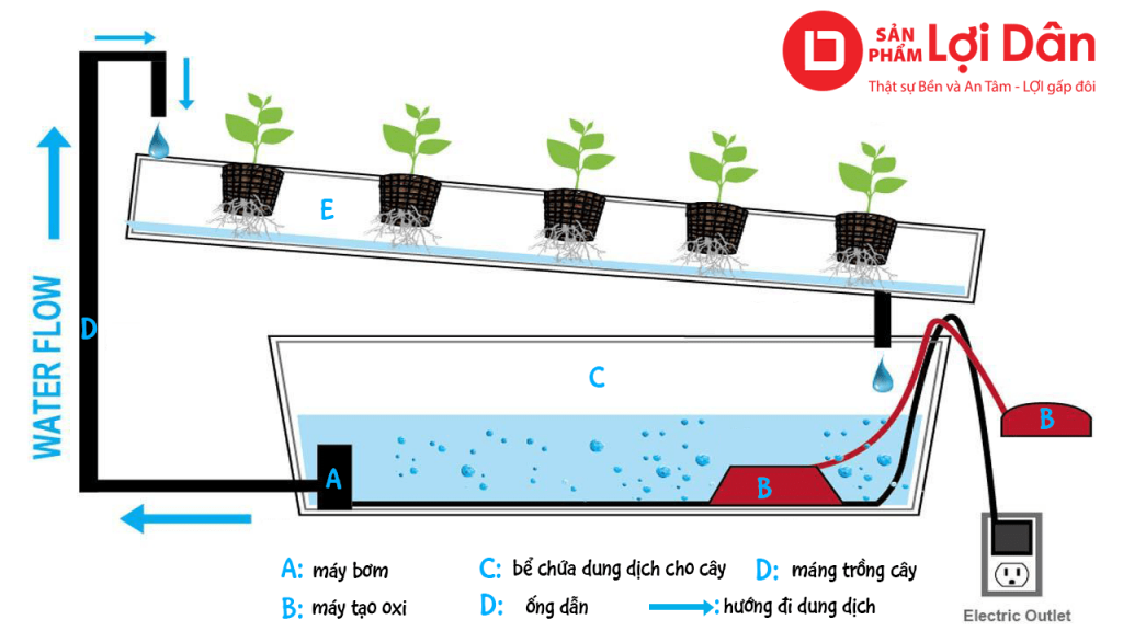 Lưới Chậu Lợi Dân