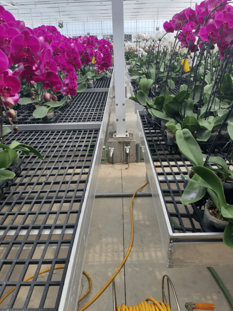 Lưới Chậu Lợi Dân