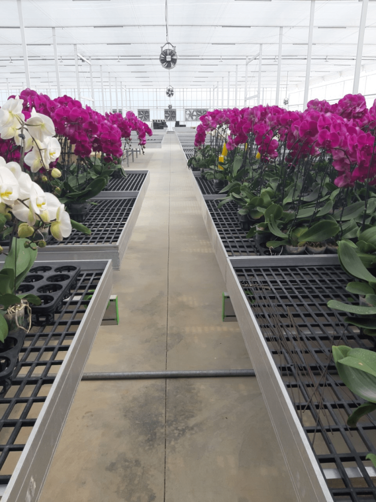 Lưới Chậu Lợi Dân