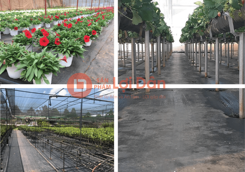 Lưới Chậu Lợi Dân