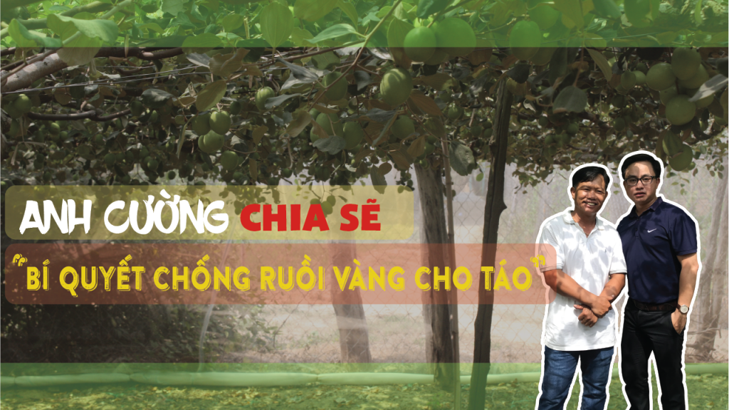 Lưới Chậu Lợi Dân