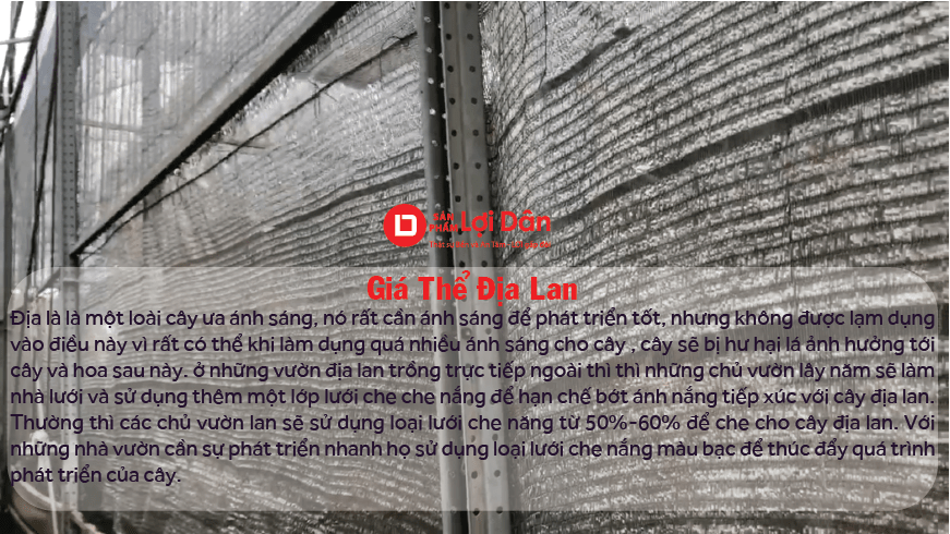 Lưới Chậu Lợi Dân