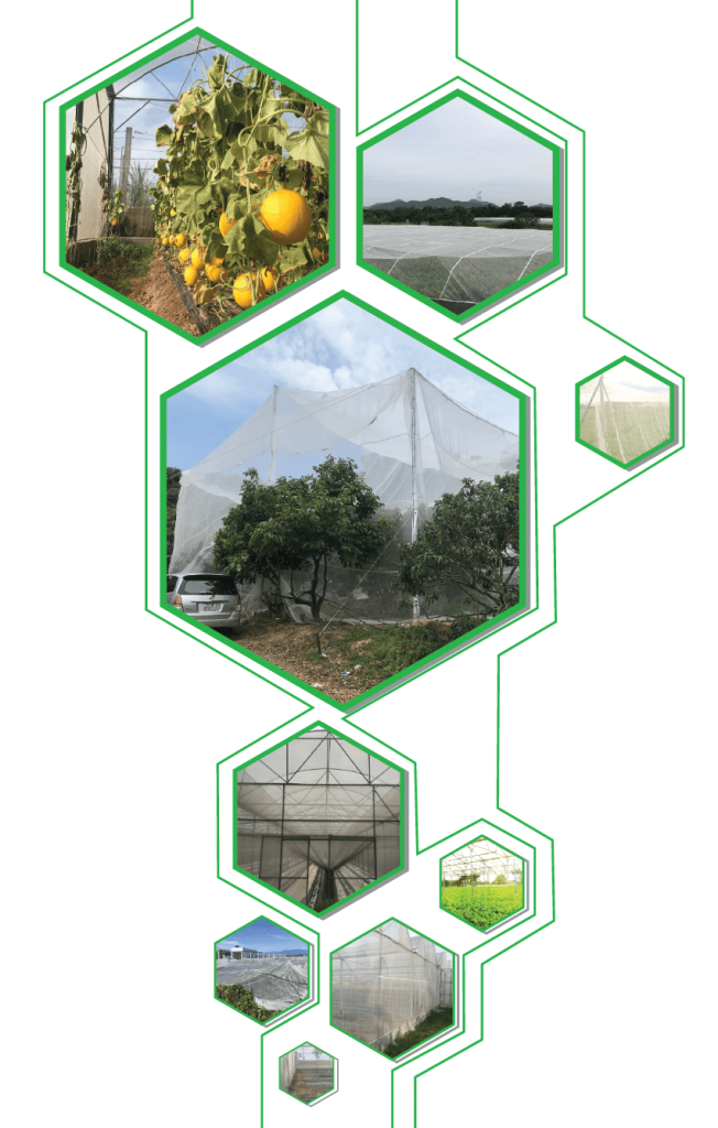 Lưới Chậu Lợi Dân