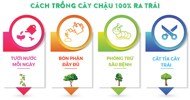Lưới Chậu Lợi Dân