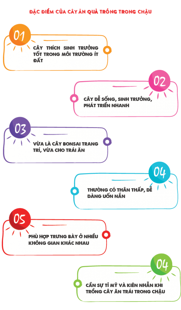 Lưới Chậu Lợi Dân